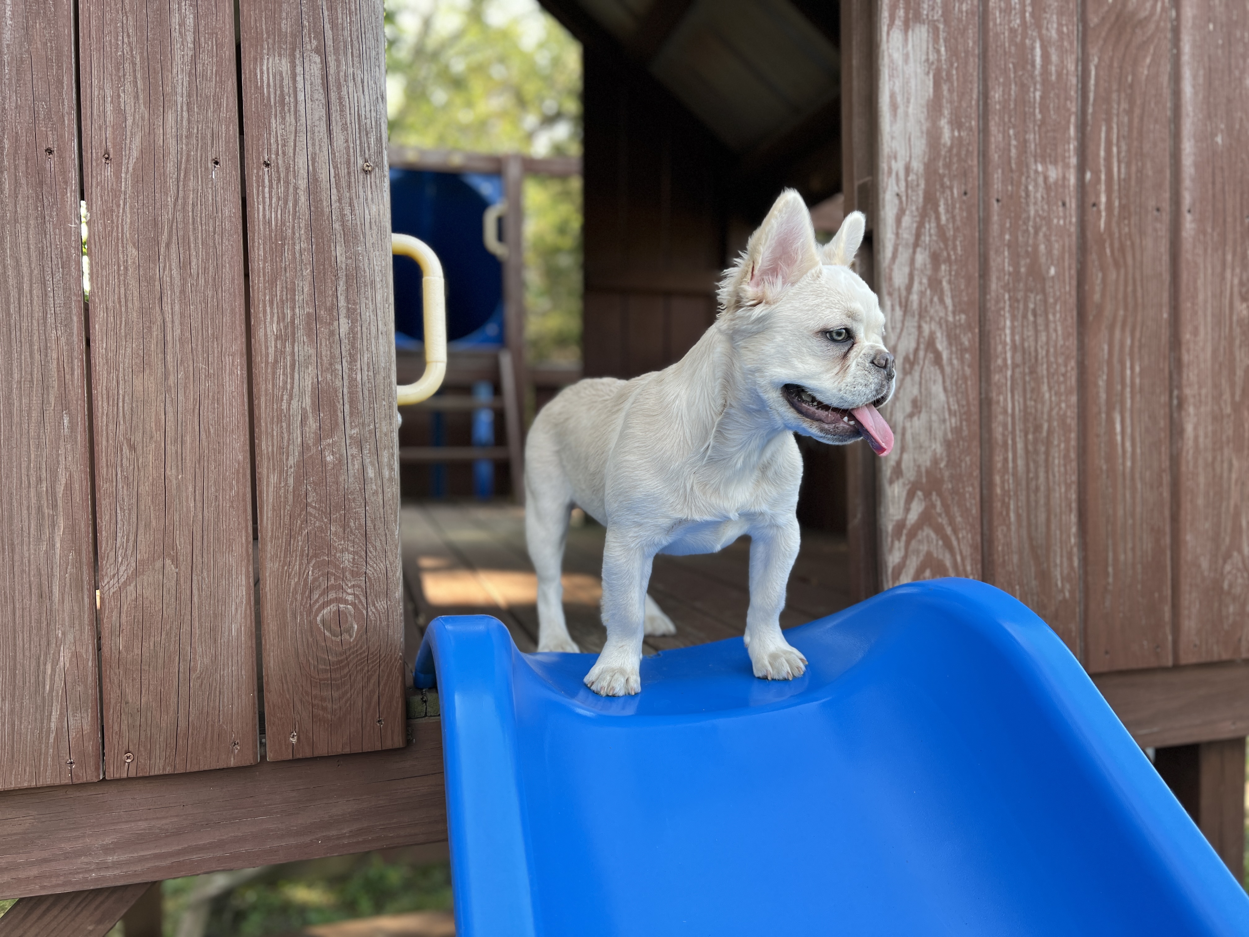 Beautiful Colors & Patterns